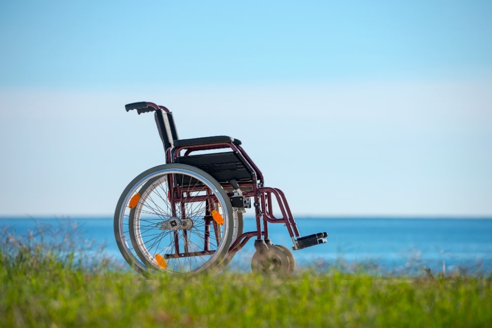 Sedie a rotelle e carrozzine